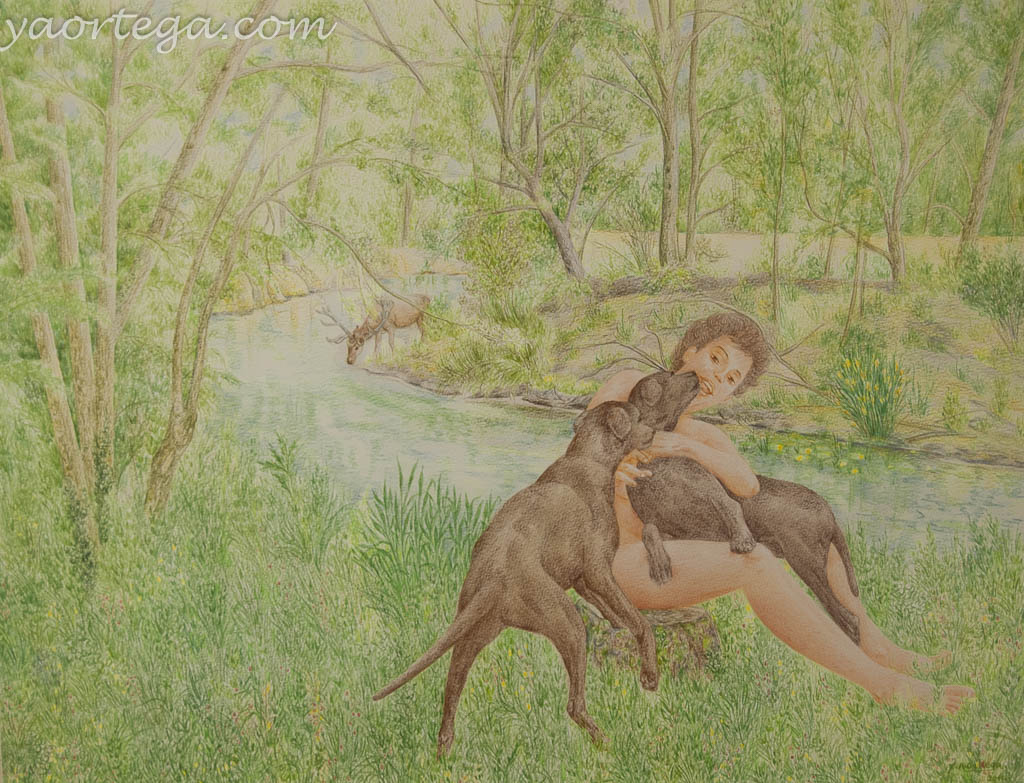 2011, 65x50, cerf, crayon de couleur sur papier, nus avec chiens
