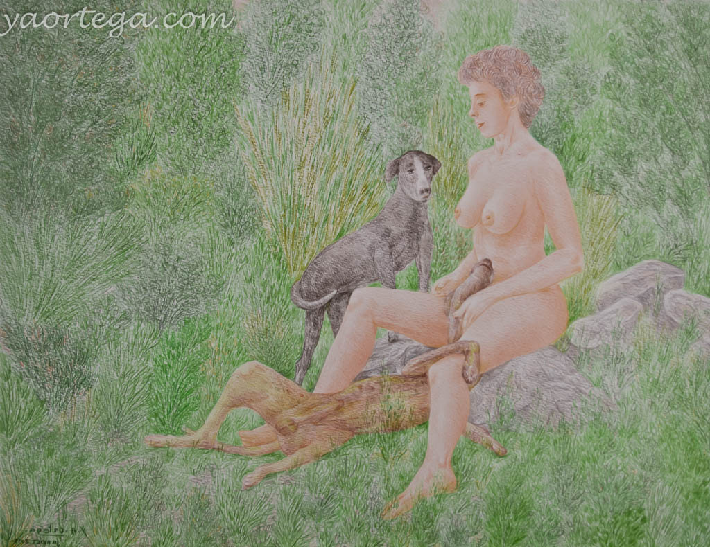 65x50, crayon de couleur sur papier, herbes, janvier 2011, nus avec chiens