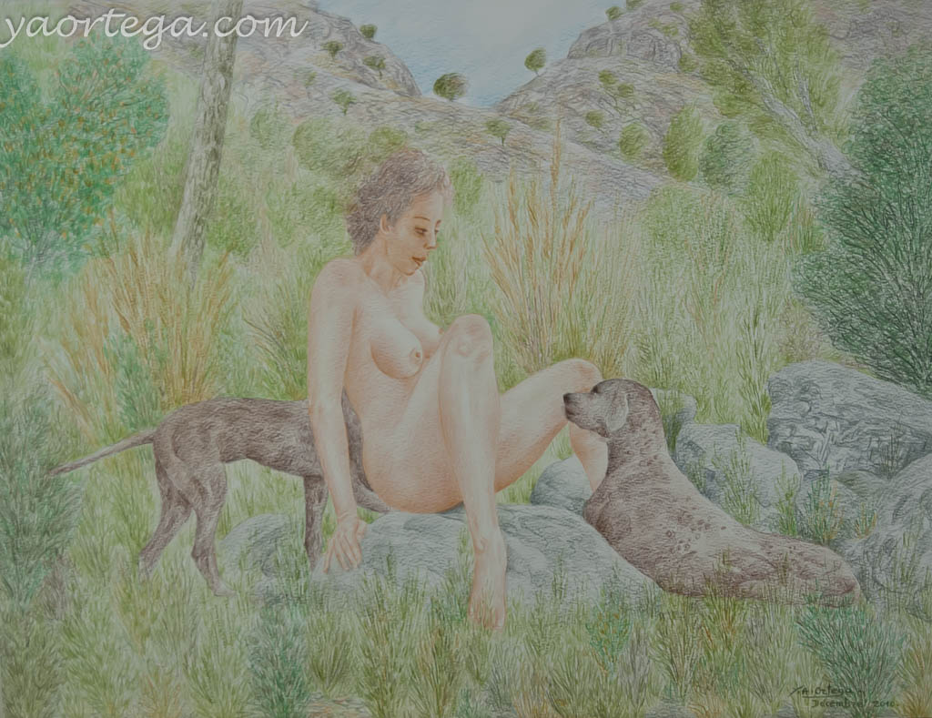 65x50, crayon de couleur sur papier, decembre 2010, herbes, nus avec chiens