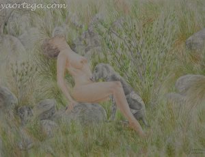65x50, crayon de couleur sur papier, herbes, nus avec chiens, octobre 2010